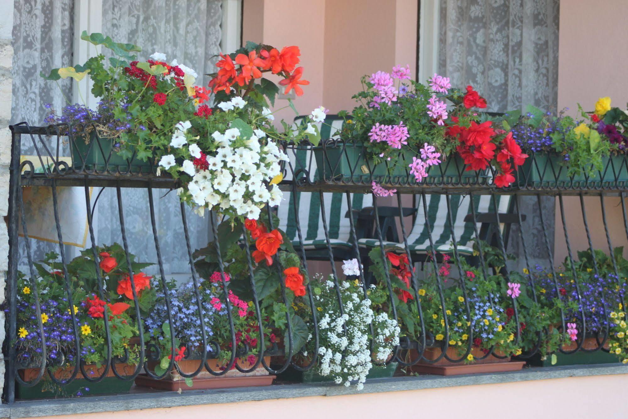 Bed and Breakfast Balcone Fiorito Menaggio Exterior foto