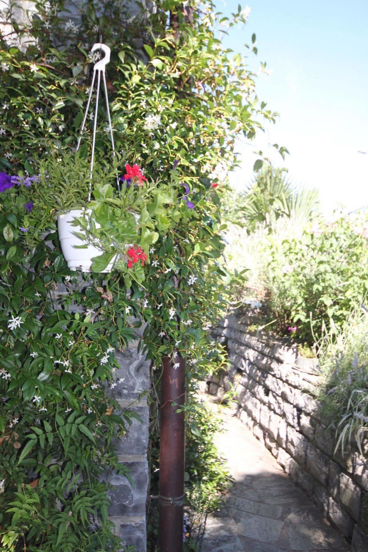 Bed and Breakfast Balcone Fiorito Menaggio Exterior foto