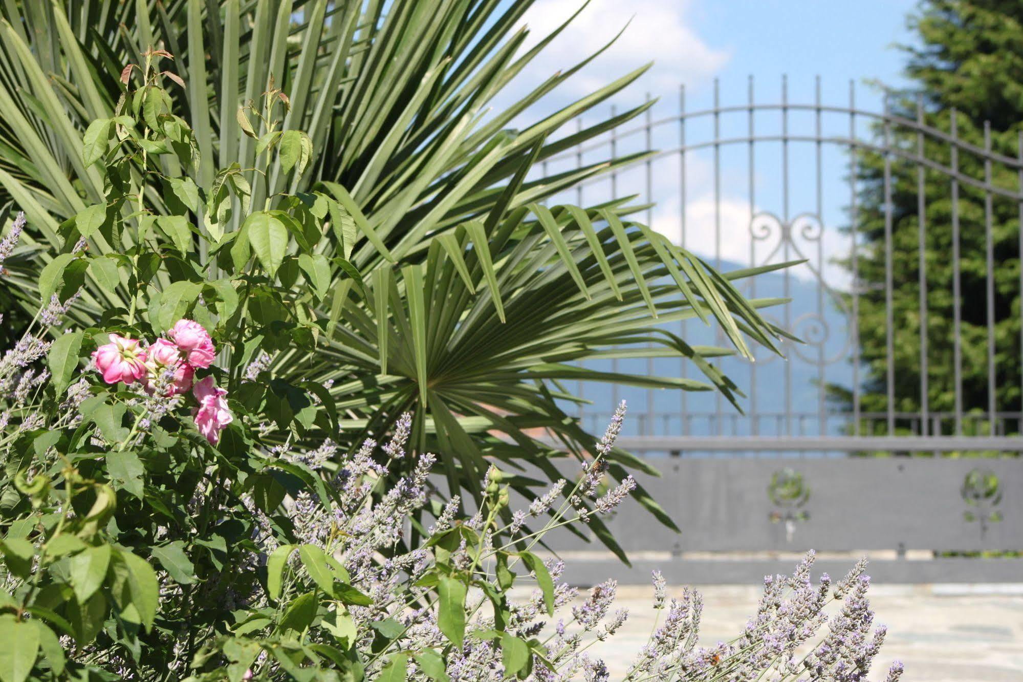 Bed and Breakfast Balcone Fiorito Menaggio Exterior foto