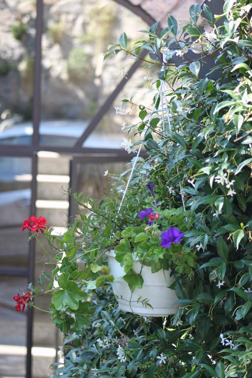 Bed and Breakfast Balcone Fiorito Menaggio Exterior foto